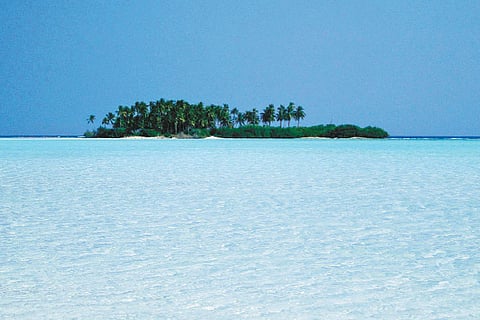 Where paradise beckons!