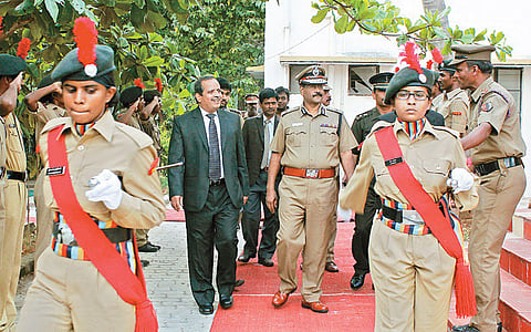 Annual Cado Fest celebrated