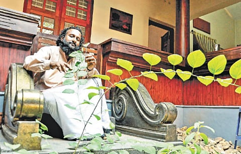 Healing touch of herbs