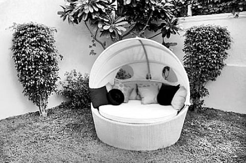 The pride of the house