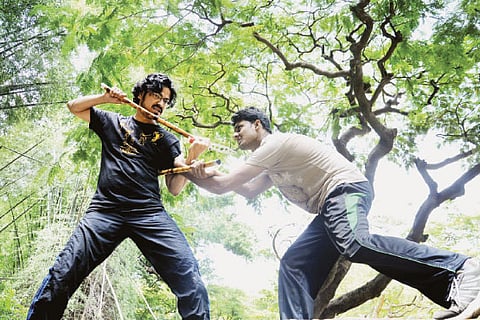 The Bruce Lee brigade