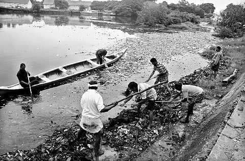 DTPC to remove garbage along Ashtamudi bank