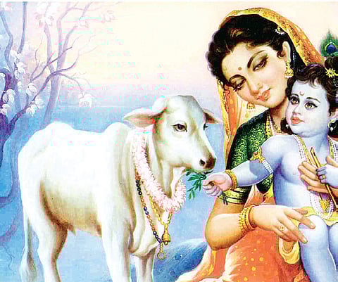 Celebrating 5,125th birthday of Lord Krishna