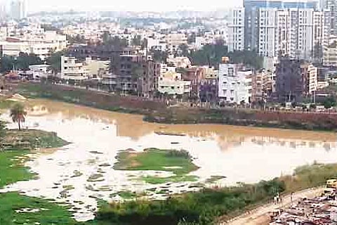 Citizens revive Puttenahalli Lake