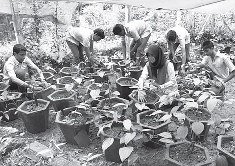 Together They Spread Lessons in Farming