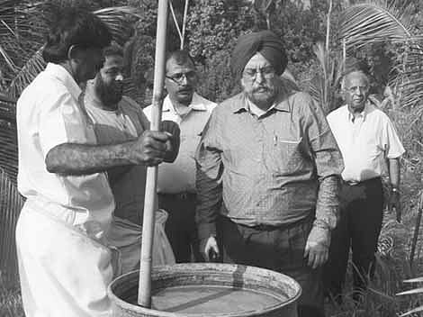 After Neera, Here’s Another Healthy Drink - Packaged Vechur Cow Urine