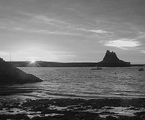 Always Look Forward to Achieve Happiness in Life, Instead of Pleasure