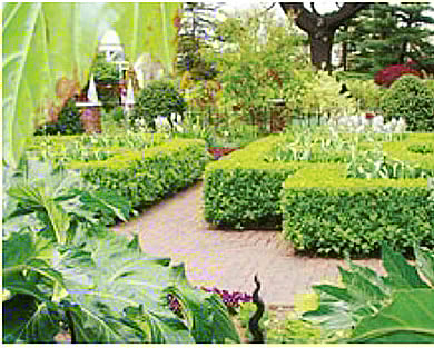 Urbanisation Nips Noida Botanic Garden in the Bud