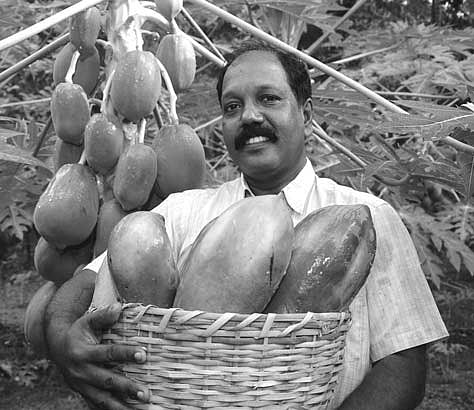 Meet Cicil Chandran, the Undisputed King of Hi-tech Farming