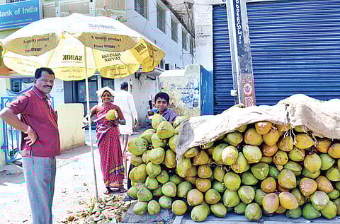 Cooking Fuel From Elneer Shells Coming