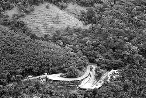 Recent Maoist Attacks Keeping Tourists Away from Wayanad