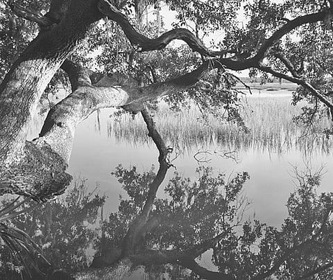 Keep the Eternal Fresh