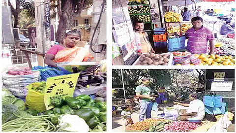 Rent-a-Bag to Reduce Plastic