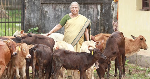 Holy Cow Small Packs a Big Punch