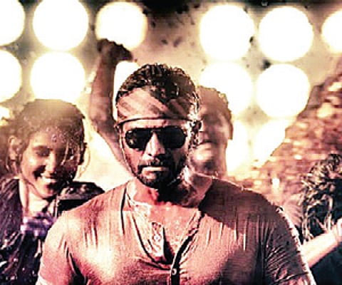 A Chequered Year for Sandalwood