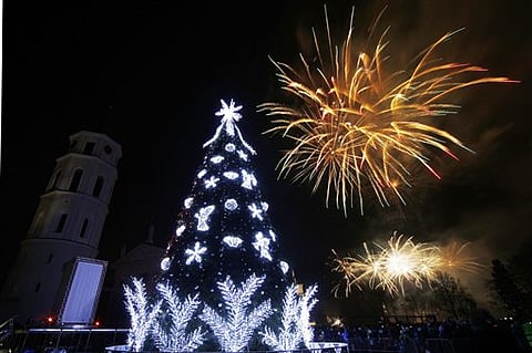 Discarded Christmas Trees a Vitamin-filled Treat for Goats