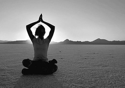 Fontanel is the Abode of Experiences