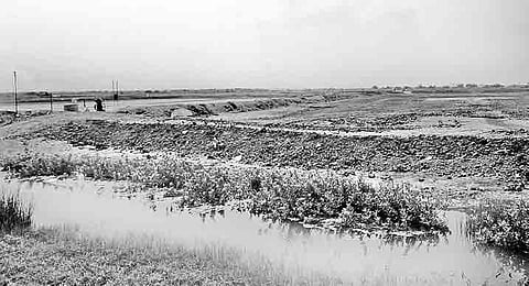 Wetlands Shrink to 17K Acres in Krishna District