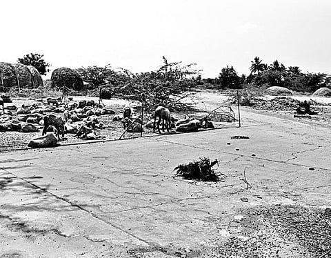 Abandoned Airstrip Misused by Tipplers