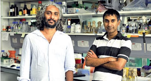 Exploring the Art of Science