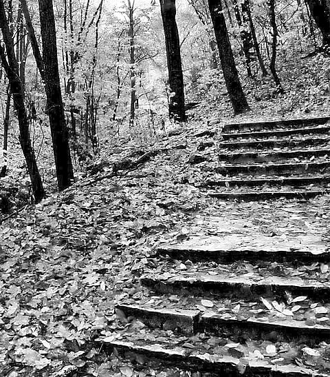 Progressive Manifestation of Spirit