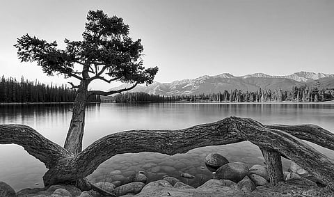 Discover the Cause of Ego