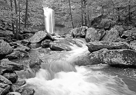 The Pain and Pleasure of Being Conscious