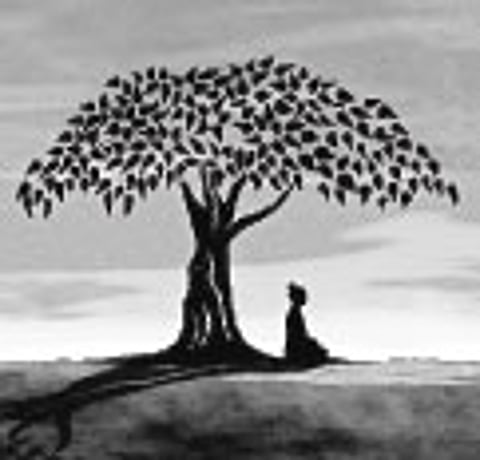 Samadhi is the Ultimate Goal of Yoga