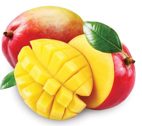 Royal Repasts with King of Fruits