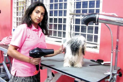 Pet Pampering Hits a High