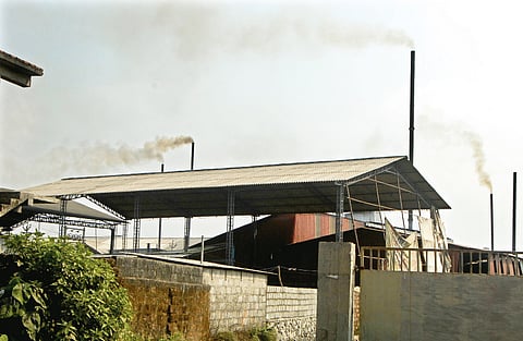 Plywood Industry, a Boost for Economy