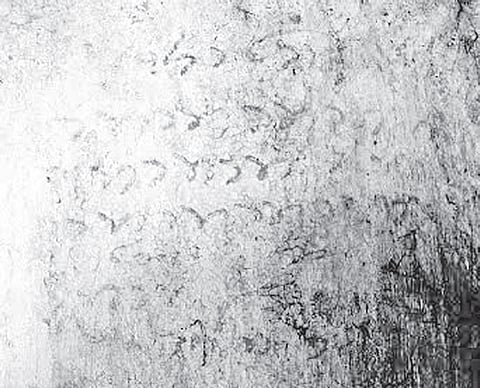 Temple Inscriptions of Som Dynasty Come to Light