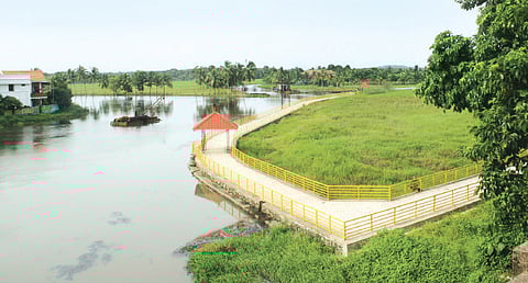 Pollution Killing Kizhakkambalam