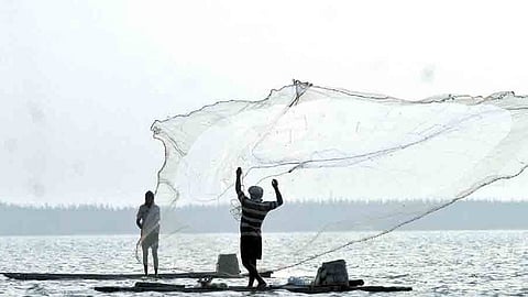 Acknowledging the impact of reduced fish availability due to the trawling ban on worker's livelihoods.