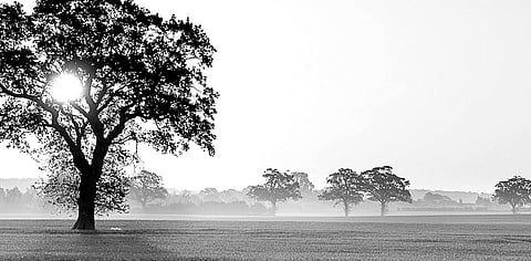 Devotion to Guru Will Take Care of All Aspects of Life