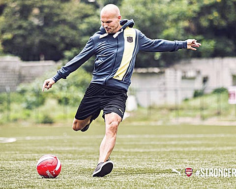 Arsenal Can Win This Year, Says Former Star Ljungberg