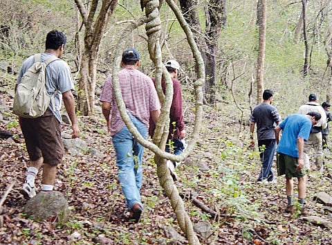 Forest Dept Will Frame New Policy to Make Trekking Safe