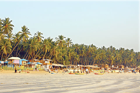 The Food of Goa