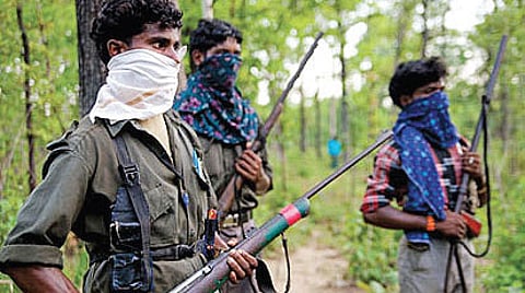 Red Ultras Find Refuge in Green Kerala