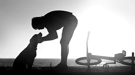 Enjoy the Path, Not Just the Reward