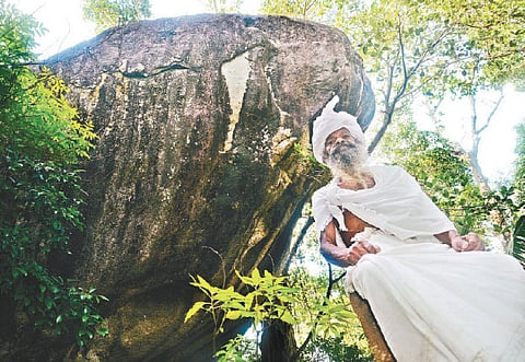 The Hermit in His Garden of Exotica