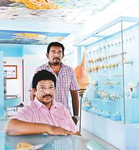 He Sells Sea Shells by the Shore