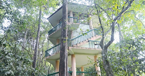 A Makeover for Thattekkad Bird Sanctuary