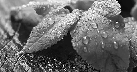 Keeping Your Mind and Heart Clean