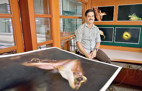 A Croak and Tell Story