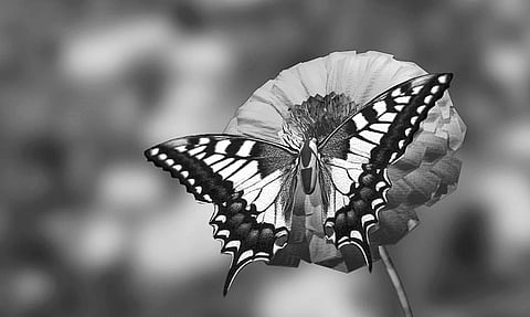 Universe Gives Back in Plenty to Those Who Work Hard