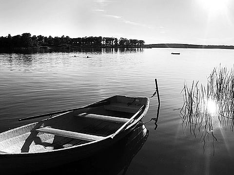 We Should Neither Inflict Pain, Nor Seek It