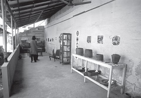 Connecting Art, Food and Ecology