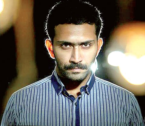 Skipped Lunch to Watch the 'Birds'