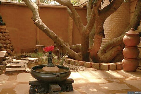 Rustic Light and Shadows